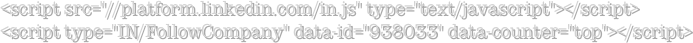 <script src="//platform.linkedin.com/in.js" type="text/javascript"></script><script type="IN/FollowCompany" data-id="938033" data-counter="top"></script>